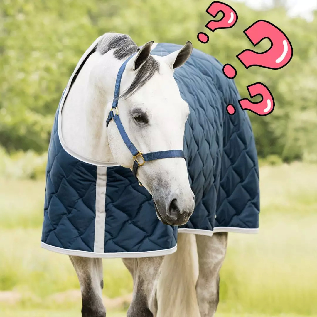 复古菱格双肩包香奈儿,香奈儿大号包包穿搭