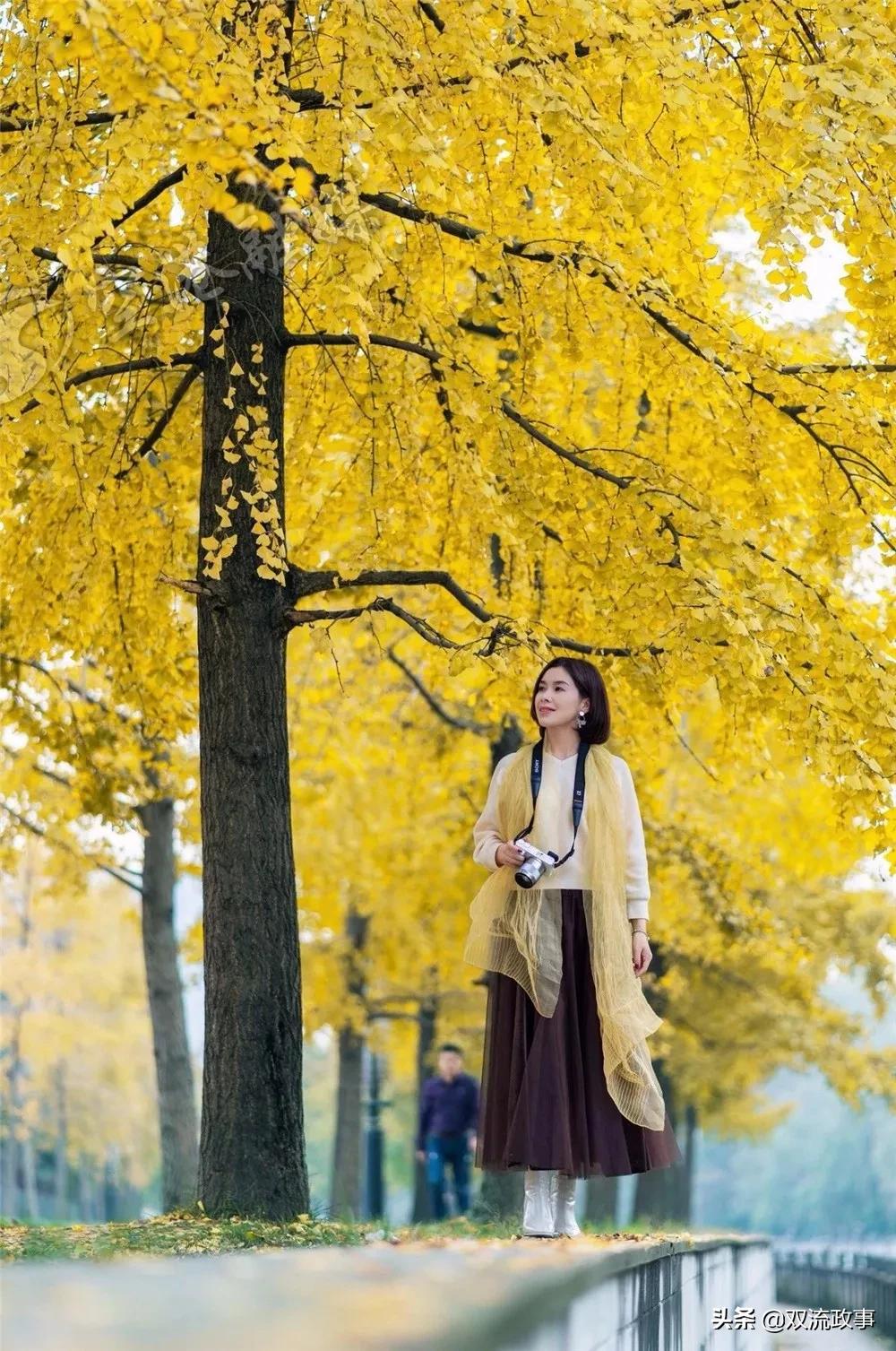 成都双流怎样,你怎么那么绿是什么梗