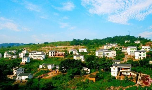 农村互联网养殖创业政策,互联网农民致富