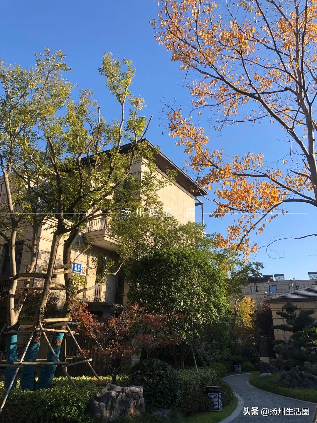 美到极致的园林景观！被扬州这个小区圈粉了！内部细节曝光