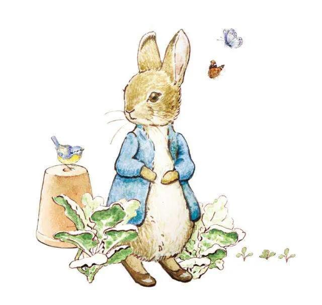 我拉黑了那个在我微信里总问我索要红包的女同学