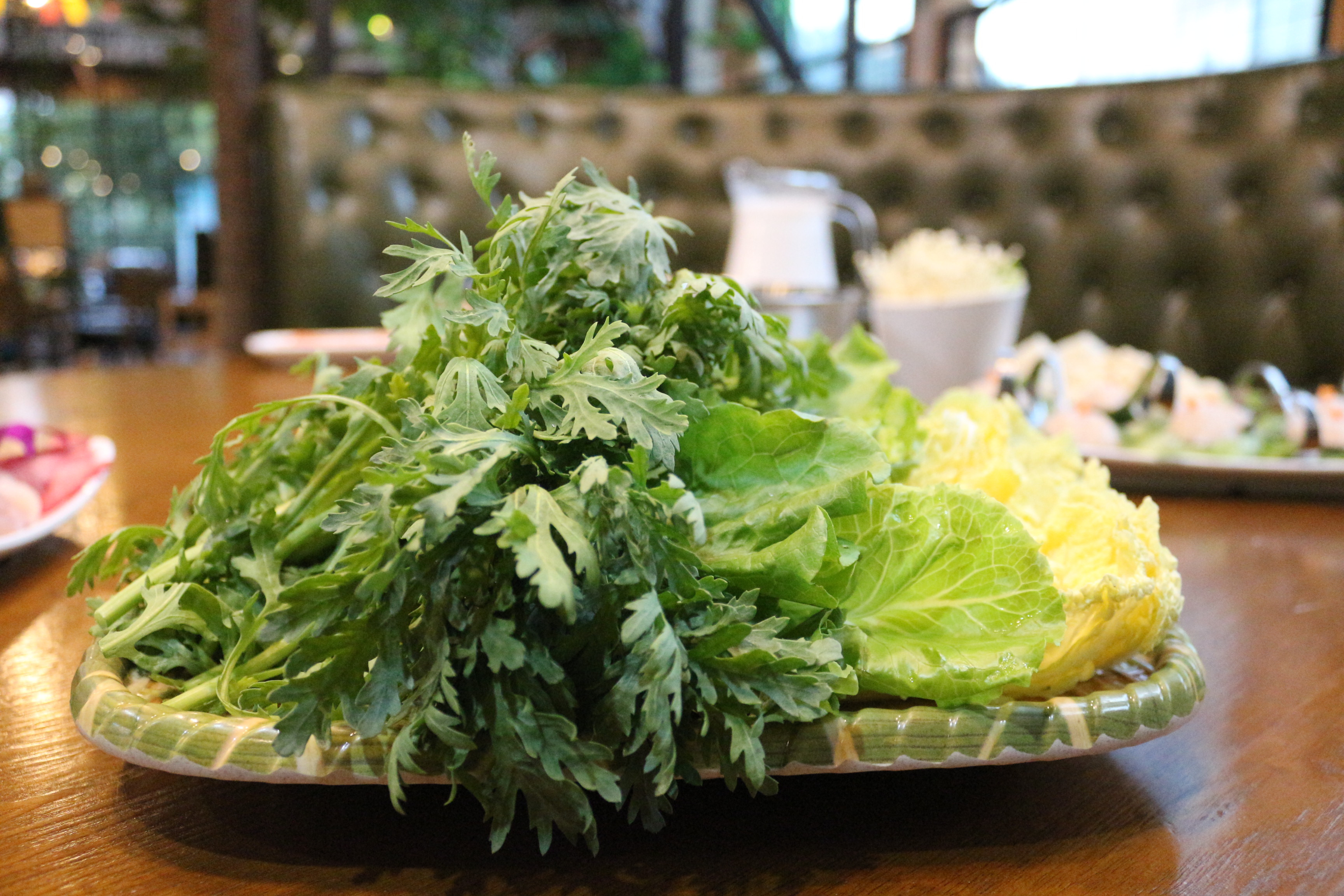 带你踏上三亚之旅,跟着我的脚步去旅行歌曲