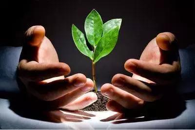 最新消息女孩被打,新闻关于女孩被打