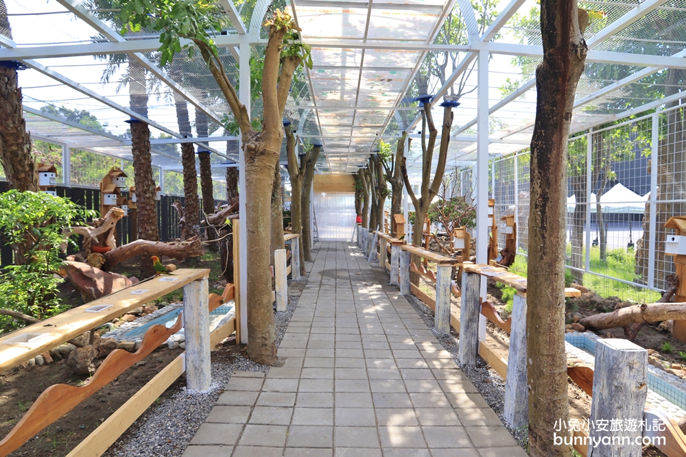 台湾绮丽粉珊瑚,台湾绮丽珊瑚工业