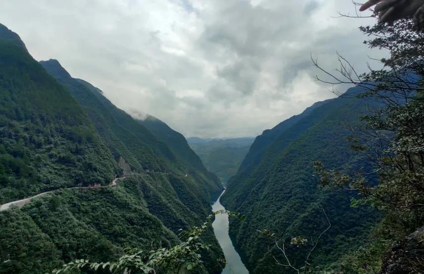 重庆真的火到国外了吗,重庆将建设专业足球场