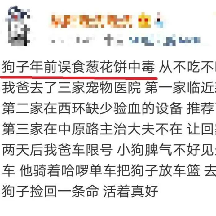 怎么纠正狗狗吃东西躲着人,小狗狗乱吃东西怎么吐出来