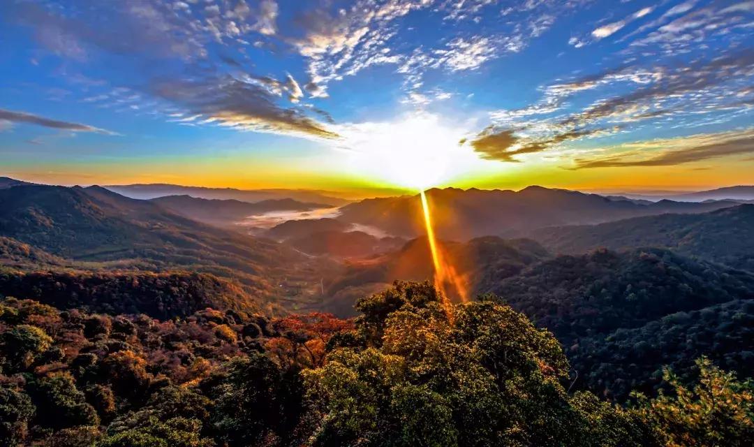 今天，我要夸夸我的通江