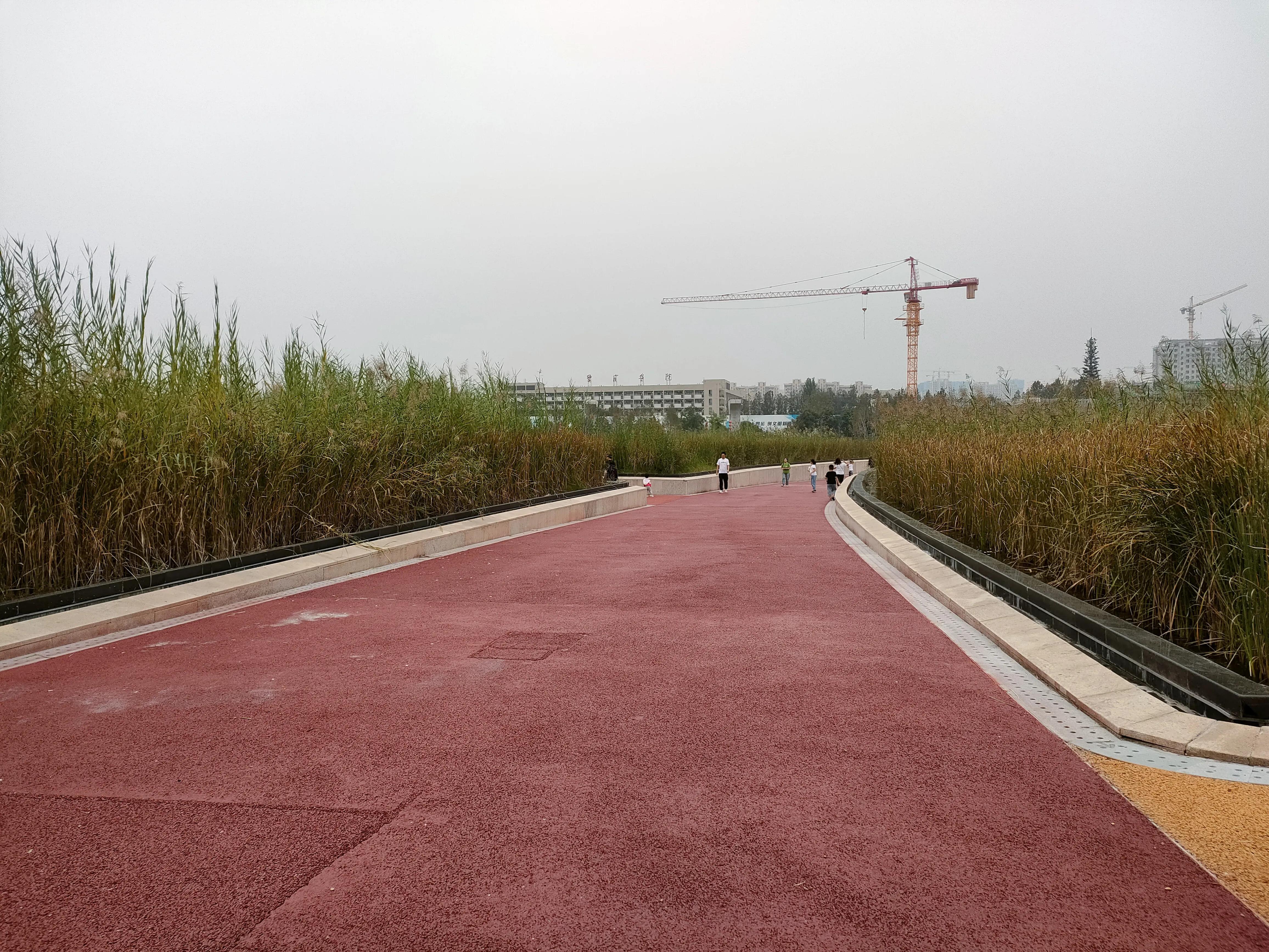 游西安曲江海洋极地公园,国庆去西安海洋极地公园