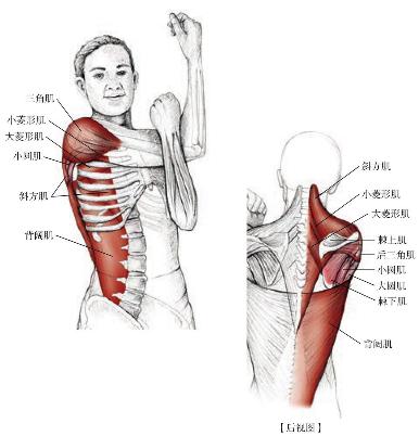 网友打羽球得网球肘用很多方法不见好，送他这套运动康复方案