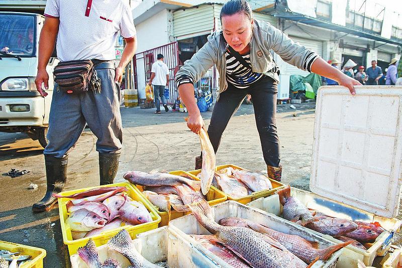 北海海鲜市场猫腻,北海海鲜交易