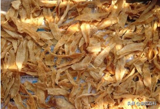花胶如何晒制,鱼胶花胶怎么样才算好