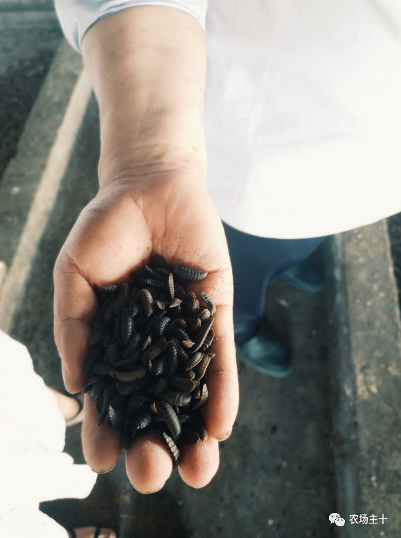 从乞丐到身价200万仅用一年时间,从乞讨到名相的传奇人生