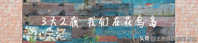 花鸟岛和枸杞岛攻略,海花岛攻略带你玩转海花岛