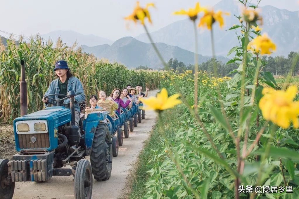 看皮影大戏逛美食大集,农村看大戏赶大集
