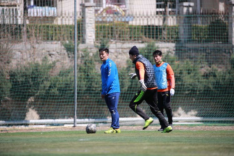 大连三鼎春天视频,大连三鼎春天怎么样