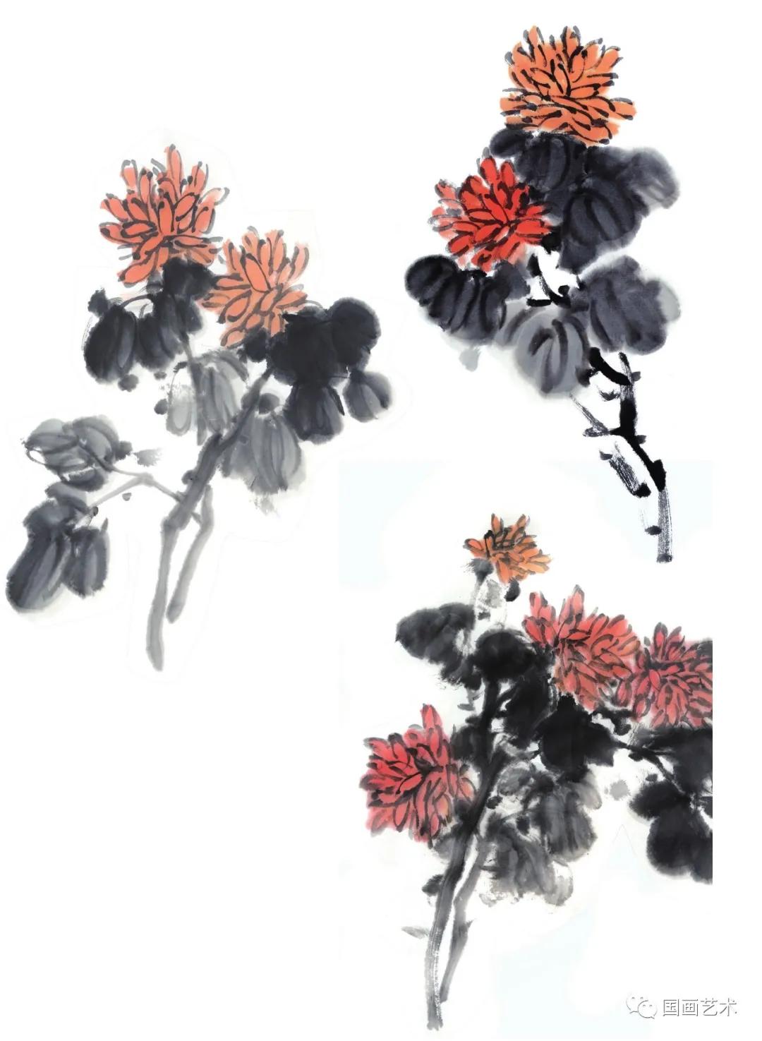 国画写意菊花龙爪菊,写意菊花画法教程简单