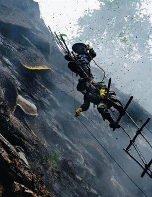 喜马拉雅山悬崖上采蜜人,喜马拉雅山采蜜人完整版