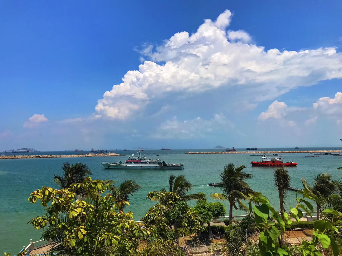 鐝犳捣妗傚北宀涙皯瀹夸环鏍艰〃,鐝犳捣娴峰矝娓告灞卞矝