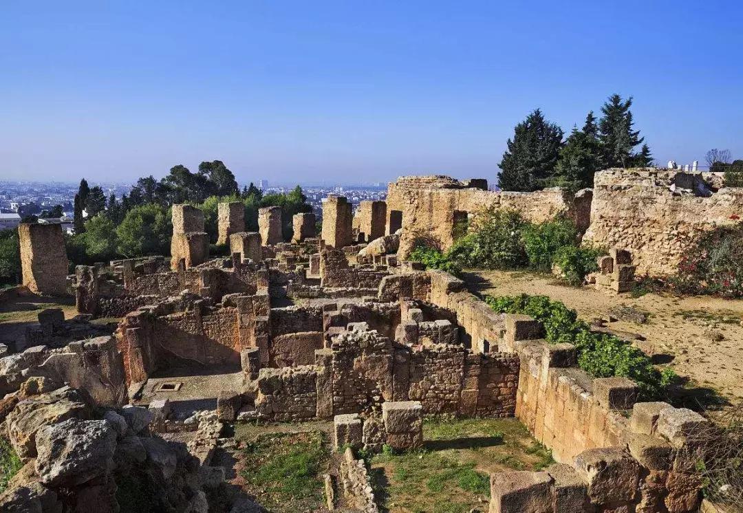 突尼斯是不是地中海,突尼斯一半沙漠