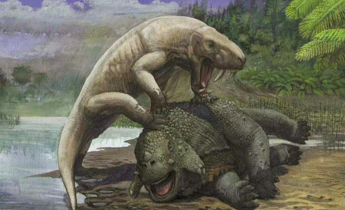 沈树忠简介,沈树忠浙江讲座