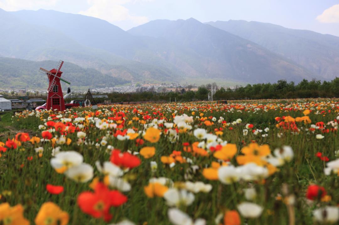 经典复古胶片风,最好看的胶片风格
