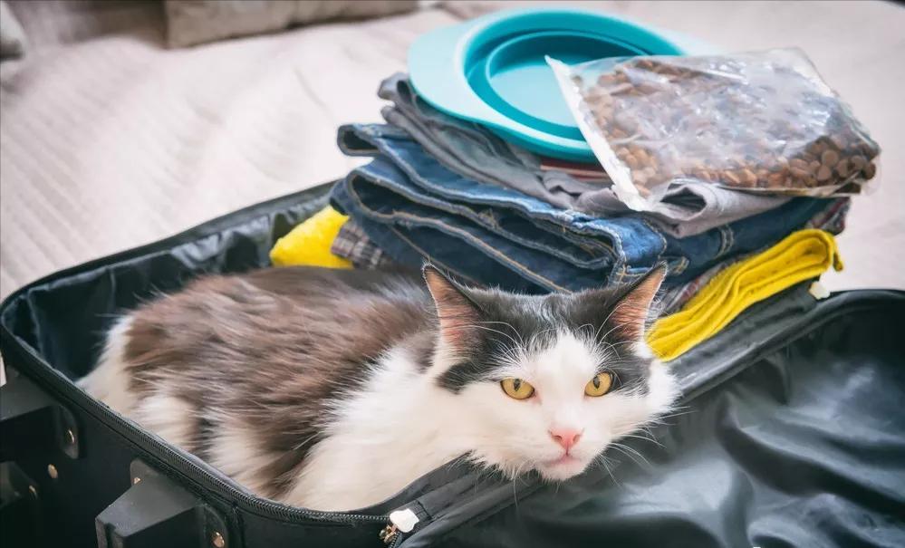 欧洲申根旅游签证需要准备什么 (有欧洲申根可以去哪些国家)