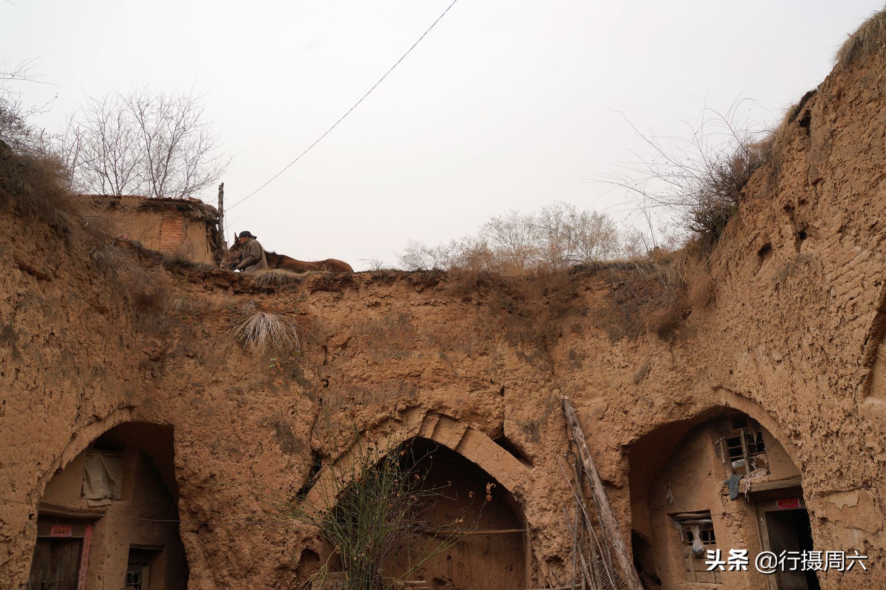 农村老汉养8只狗,农村大爷养小宠物