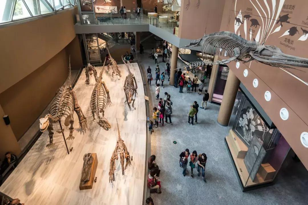 适合遛娃的亲子博物馆,周末遛娃好去处自然博物馆