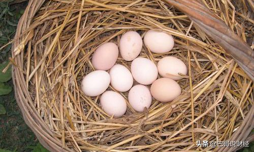 均卖价和均买价,养殖不易养殖户的心酸