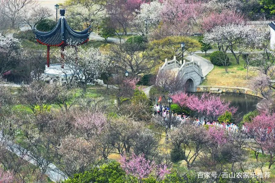苏州西山免费打卡,苏州西山区网红打卡圣地图片