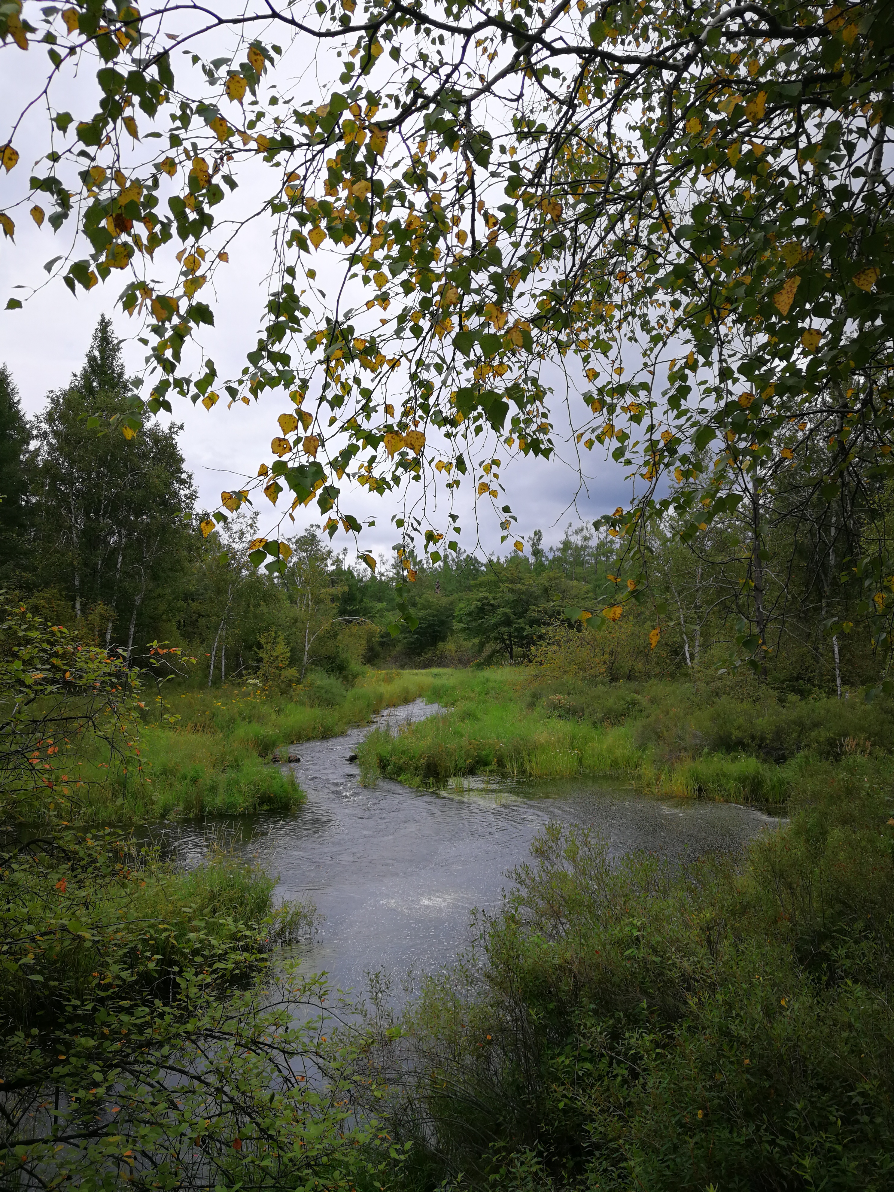 北京游阿尔山路线攻略,北京阿尔山旅游自由行攻略