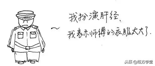 中医12经络挂图,漫画中医经络图典