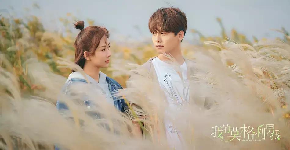 宠物情人日剧甜剧,宠物情人电视剧