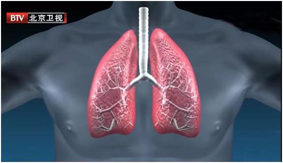 淋巴结肿大是不是很可怕,颌下淋巴结肿大是癌症的几率大吗