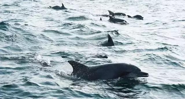 日本白川乡旅游攻略,上海去日本旅游最好的攻略