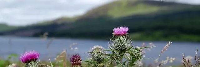 鍖呯鏃ヨ鍏ㄩ泦瑙h,鍖呯鏃ヨ鎺ㄨ崘