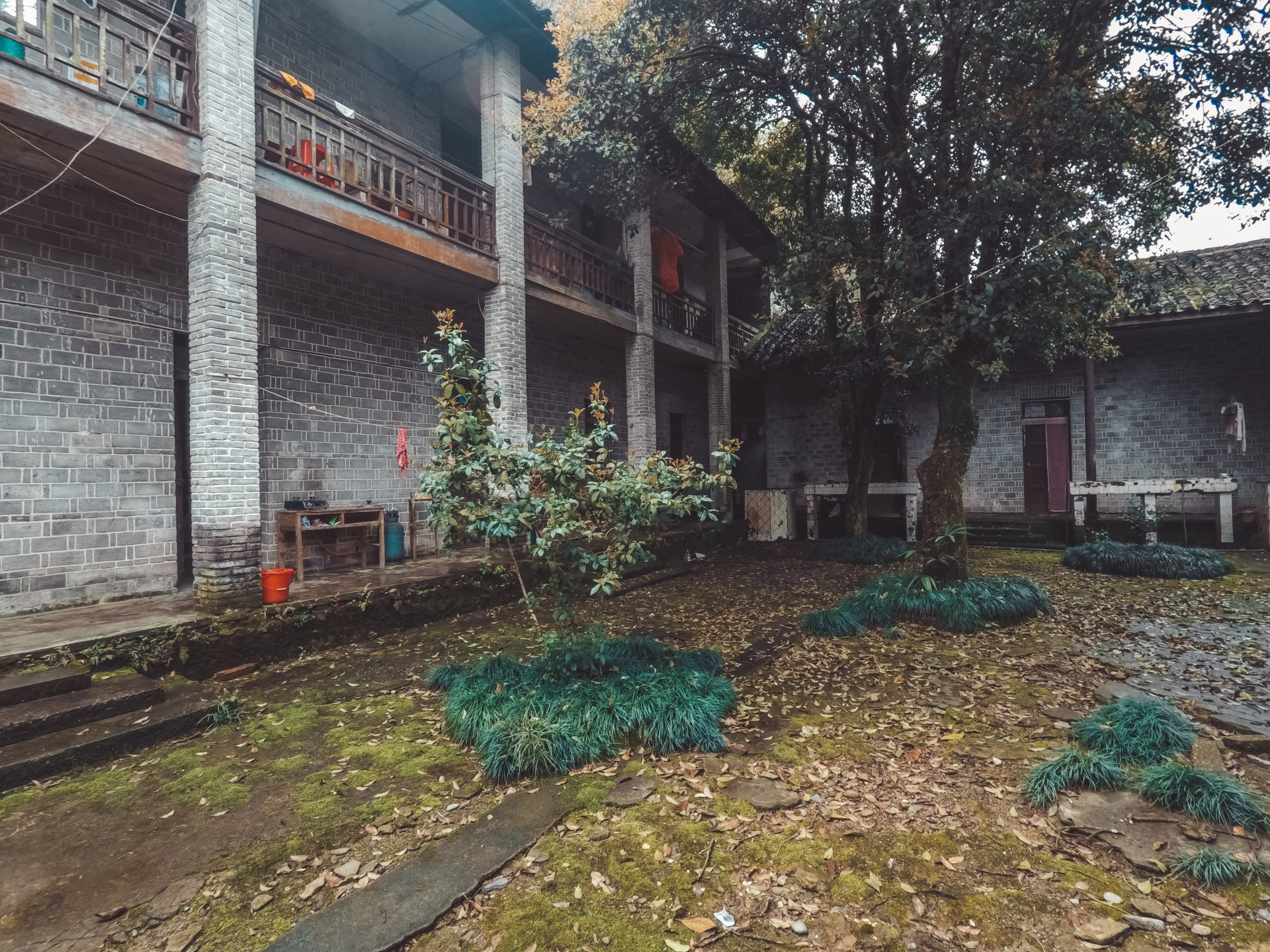 绿水青山的垦殖场