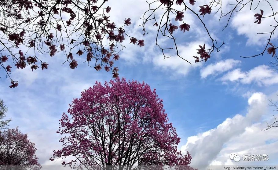 药王谷里觅旧迹（原图文）
