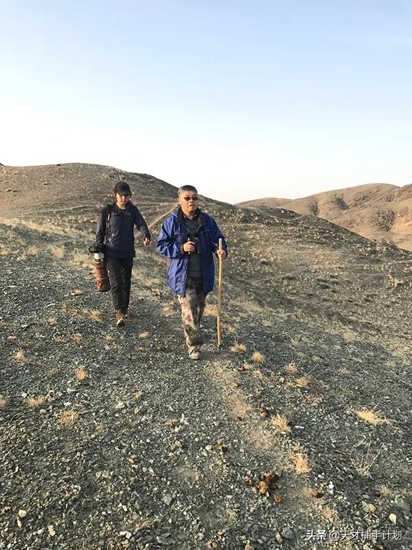 这个工作很带劲儿:94年女孩,三年救了60只猛兽的命