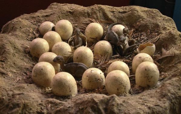 我们活在奇葩星球：皮卡丘是毛茸茸，恐龙蛋它不是蛋！