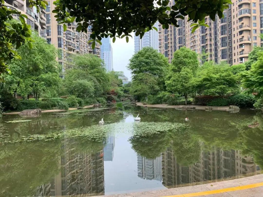 老城中的“奇葩”！这个经典盘的价值有没有被低估？