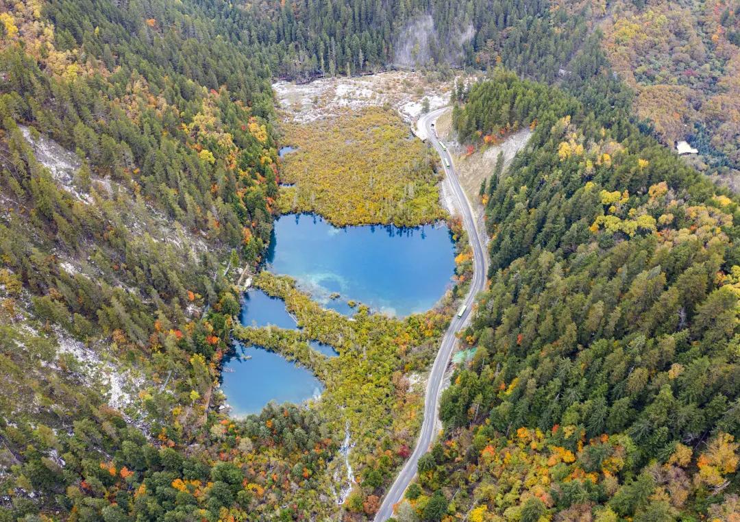 九寨沟路上招手,前方到站宁强