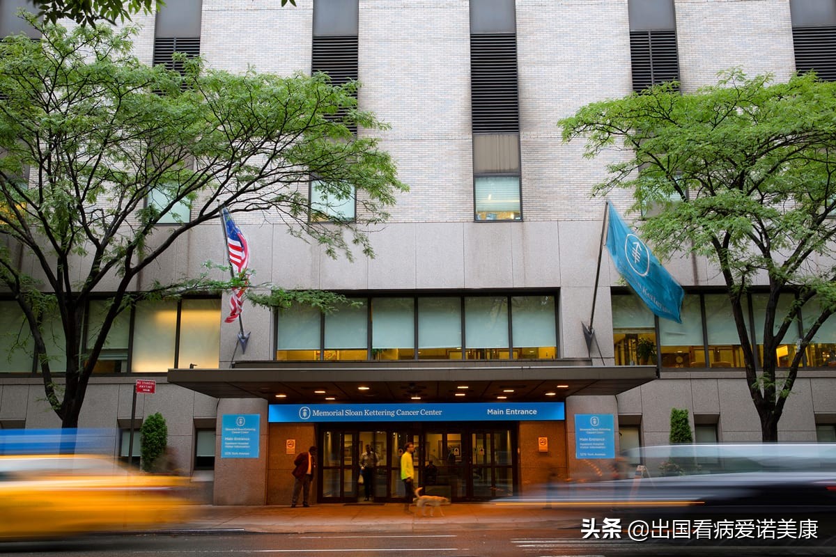 美国癌症研究所详解26种,肾癌免疫治疗新方案