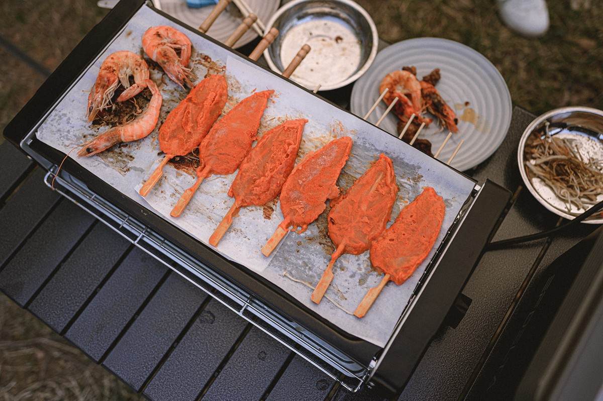 户外电源正浩ecoflow,ecoflow正浩便携户外移动电源