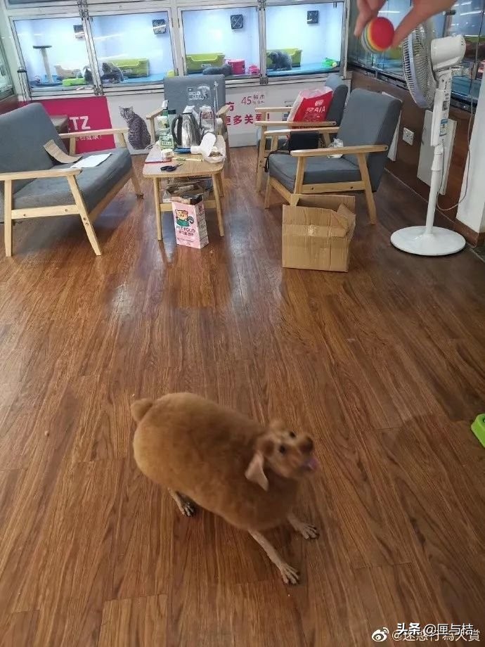 儿子心理有问题怎么办,儿子心理有毛病怎么办