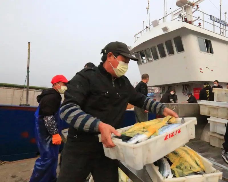浙江人第一印象,浙江人的特色