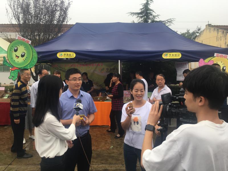 午井猕猴桃展销,陕西宝鸡扶风县午井镇猕猴桃