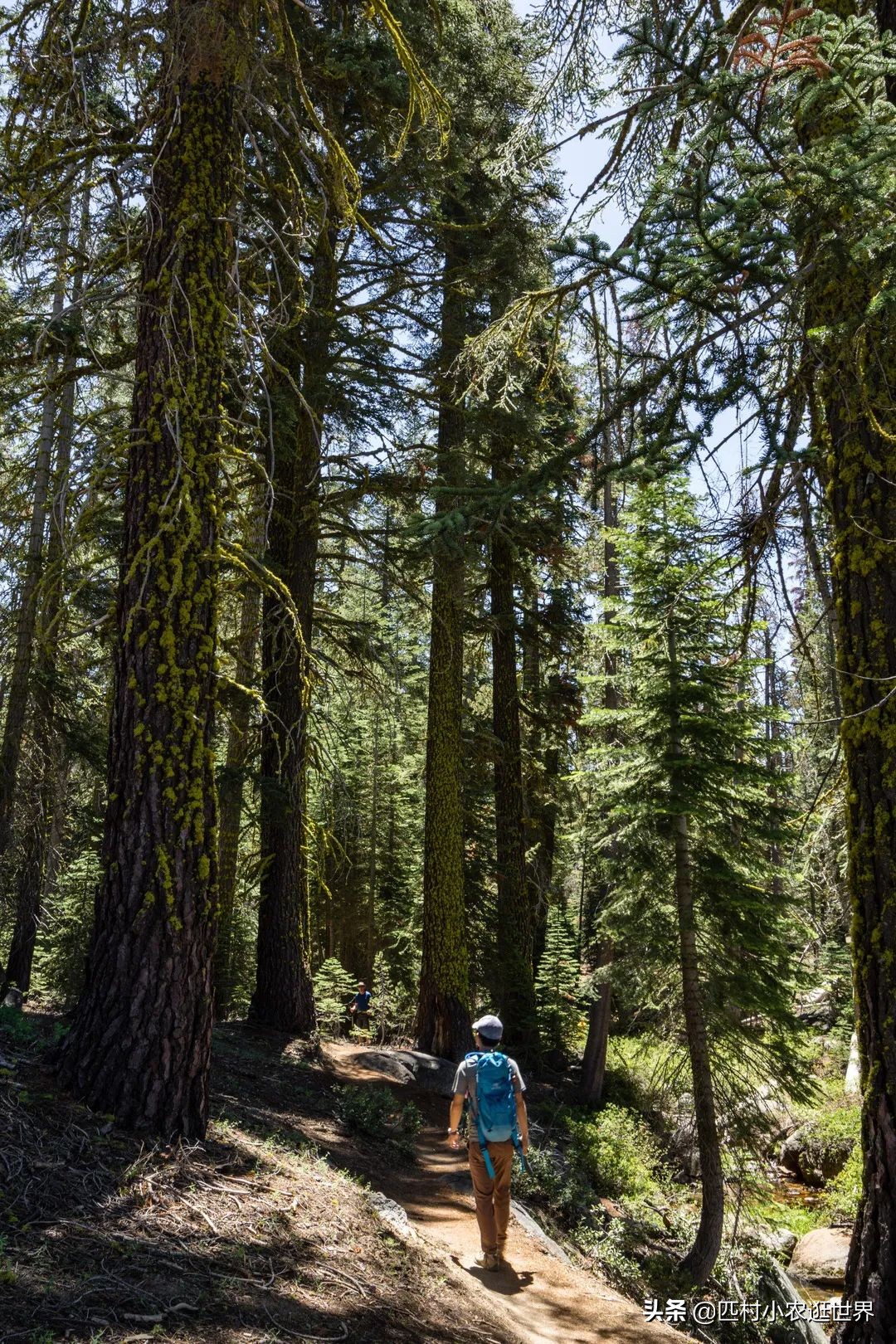 优胜美地国家公园十大景观,优胜美地风景