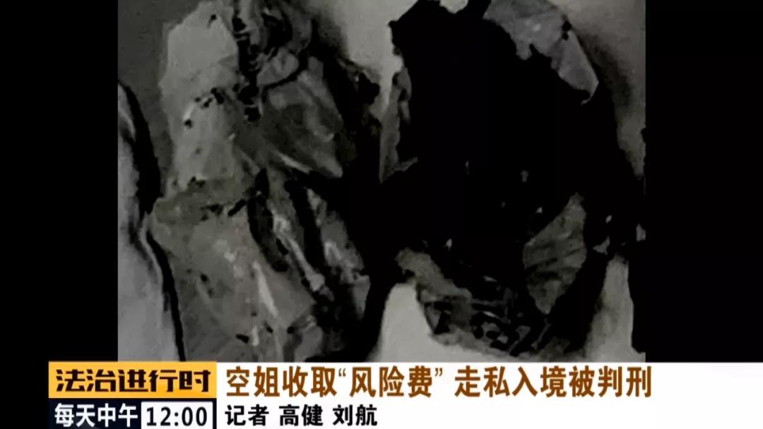 90后空姐裸辞养猪,90后北京空姐