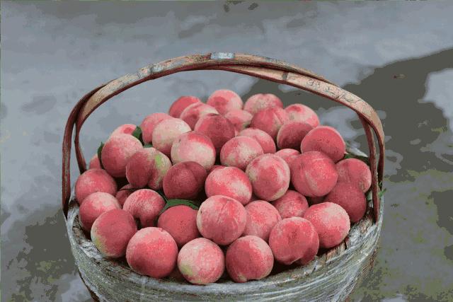 邂逅秋天的千岛湖!光看图已美醉,住这7家美宿避开人群赏湖景山色